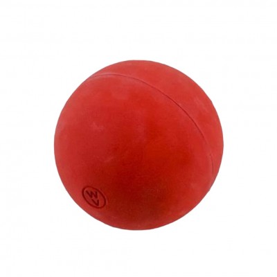 Pelota Goma juguete perro  